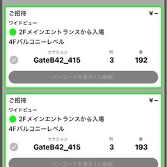 琉球ゴールデンキングス　ペアチケット