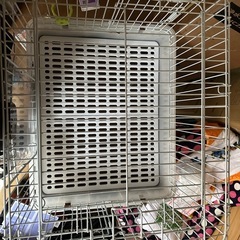 ウサギのゲージの画像