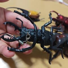 動くカブトムシ クワガタ キーホルダー 色々の画像