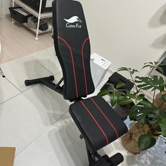 トレーニングベンチ