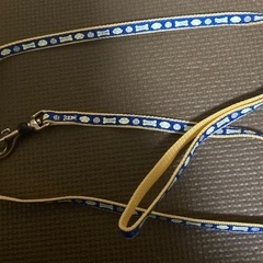 超小型犬用　首輪とリードセットの画像