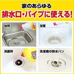 【2024/12/13（金）21:00】パイプユニッシュ プロ パイプクリーナー 濃縮 400g×5本 お掃除手袋つき パイプ掃除 お風呂 排水溝 排水口 洗浄 洗面台 シンク 詰まり 洗浄 大容量 まとめ買いの画像