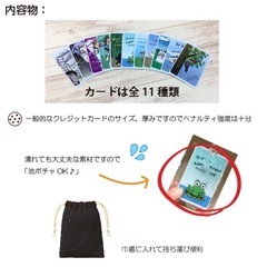 ペナルティ カード ゴルフ 罰カード 防水 カードゲームの画像