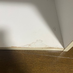 ディスクユニオン　レコードラックの画像