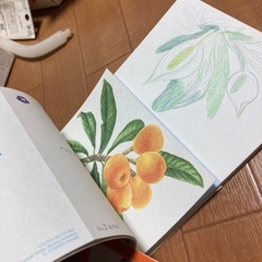 大人の塗り絵2冊の画像