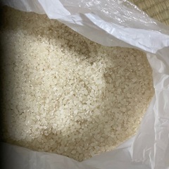 お米