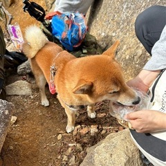 3歳の男の子 − 千葉県
