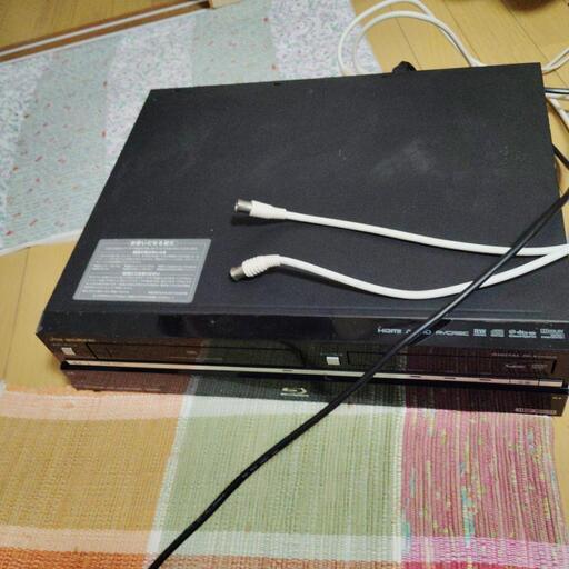 ブルレープレーヤー　ジャック品