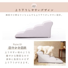 ペットスロープの画像
