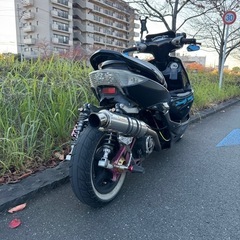 シグナスse12jの画像