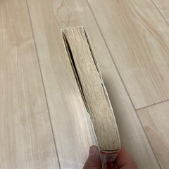 ニルスのふしぎな旅【１】の画像