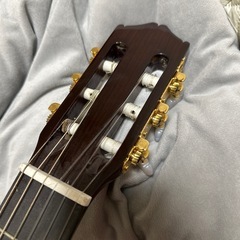 morrisギターmc251の画像