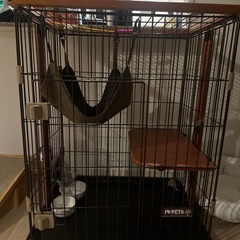 子猫のゲージ