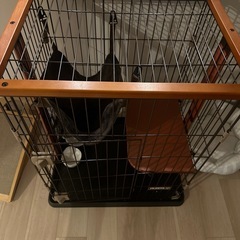 子猫のゲージの画像
