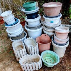 植木鉢☆駄温鉢からプラ製まで色々★おまとめ取引歓迎！の画像