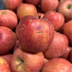 完熟りんご🍎サンふじ着衣不良果 1kg~ 大玉の画像