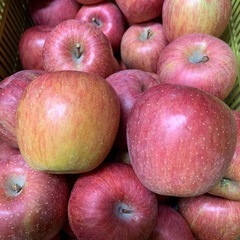 完熟りんご🍎サンふじ着衣不良果 1kg~ 大玉の画像
