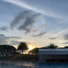 3月プライベート体験会実施中🏊‍♂️の画像