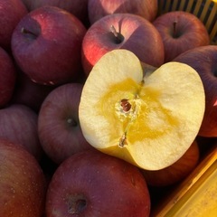美味しいりんご🍎サンふじ売ってます！