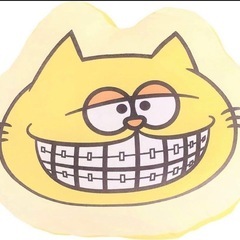 ぬいぐるみ　クッション　猫の画像