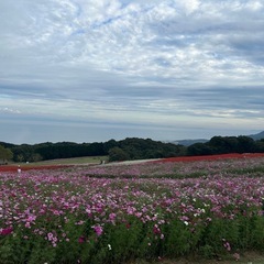 上手に楽して節約して、好きなことやりませんか？😊