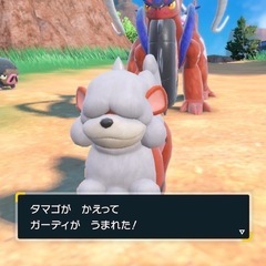 ポケモン好きな友達募集！