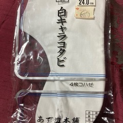 たび24.0