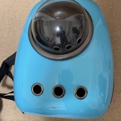 猫バッグ