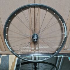 Bontrager TLR DISC 700c 100x12/1...