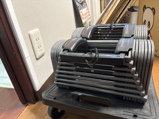 注文 パワーブロック 可変式ダンベル 22キロ✖️2 可変式ダンベル