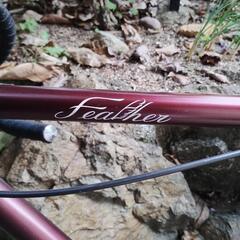 　FUJI 自転車シティーバイクの画像