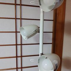 フロアランプの画像