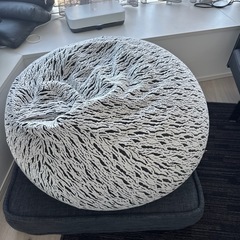 ヨギボー　　の画像