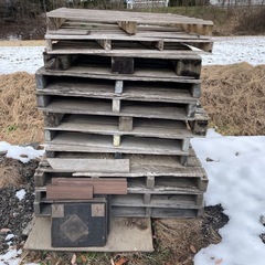 欲しい方どうぞ!あげますの画像