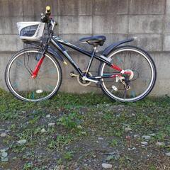 ブリジストン自転車 24インチ？  