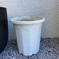植木鉢　大型の画像