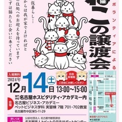 猫の譲渡会(K-1)