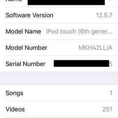 iPod touch 6th シルバー 16GBの画像