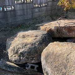 庭石の画像