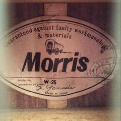 Morris W-25 アコースティックギターの画像