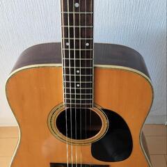 Morris W-25 アコースティックギターの画像