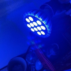 水槽セットでの画像