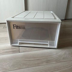 天馬Fits 衣装ケース クローゼット用