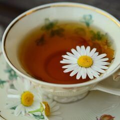 12月23日（月）【女性主催カフェ会】「こんなんでいいの？日本！...
