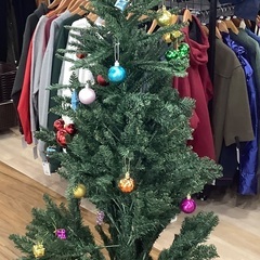 クリスマスツリー　入荷致しました！