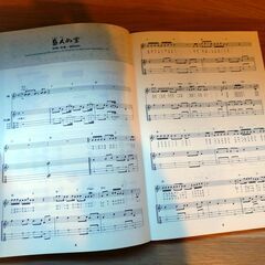 沖縄三線で弾く島唄弾き語りベスト20の画像