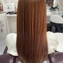 プロのサロン使用！ヘマト トリートメント、1キロクラシックシャンプー01の画像