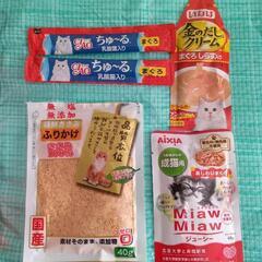 【お話中】猫ちゃんのご飯の画像