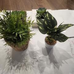 フェイクグリーン 観葉植物の画像