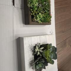 フェイクグリーン 観葉植物の画像